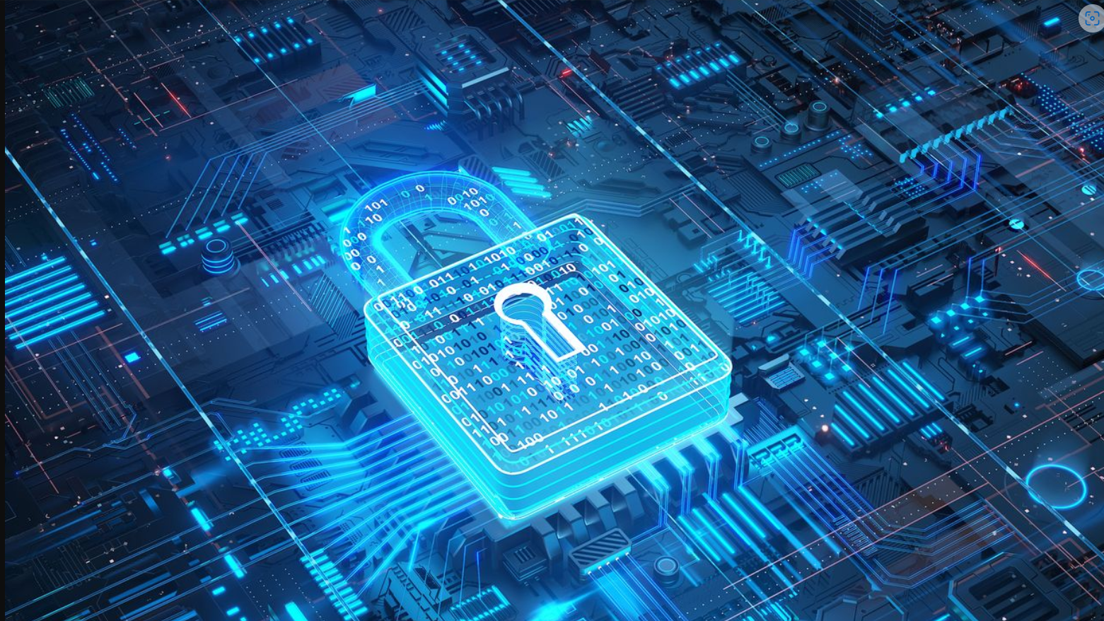 Junior Cybersecurity Analyst